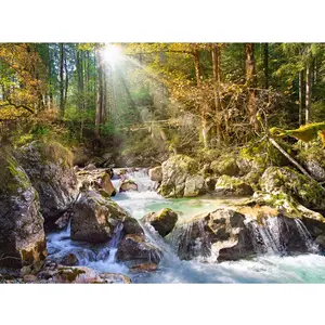 Castorland La rivière de la forêt 2000 pcs (2000 pièces) pas cher
