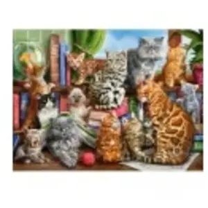 Puzzle Castorland - Maison des chats, 2000 pièces pas cher