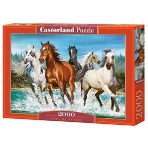 Puzzle 2000 pièces - CASTORLAND - Paysage et nature - Coloris Unique pas cher