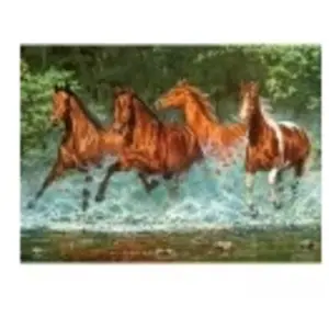 Castorland Legpuzzel Cascade Run Karton 300 Stukjes