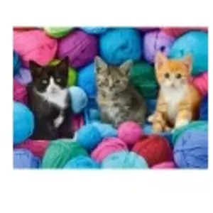 Castorland Chatons 030477 pas cher
