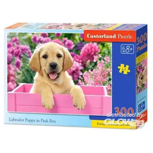 Castorland Legpuzzel Labrador Puppy In Pink Box 300 Stukjes pas cher