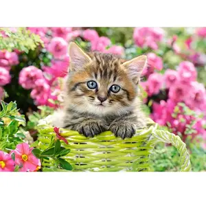 Castorland Kitten in Flower Garden 52974 pas cher