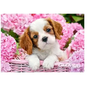 Castorland Legpuzzel Pup In Pink Flowers 500 Stukjes pas cher