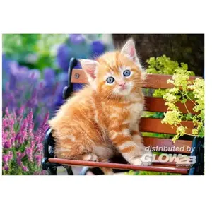 Puzzle Castorland - Chaton Gingembre, 500 pièces