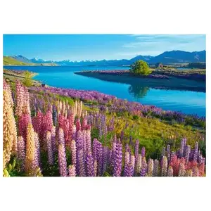 Castorland Lac Tekapo, Nouvelle-Zélande 53896 pas cher