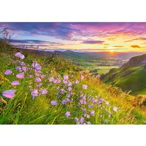 Castorland Campagne au Lever du Soleil 53681 pas cher