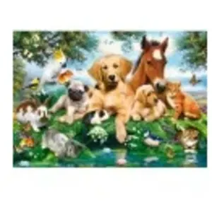 Castorland Summer Pals, puzzle de 500 pièces (500 pièces)