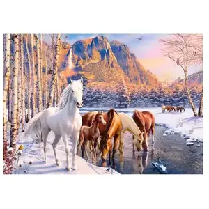 Castorland Fonte d'Hiver 53704 pas cher