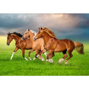 Castorland Chevaux en Ruée Vers le Printemps 54084 pas cher