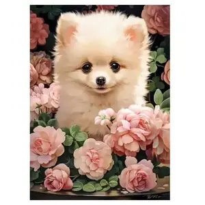 Castorland Puzzle Sechs Pomeraniana in Reihen von 60 Stück (60 pièces) pas cher