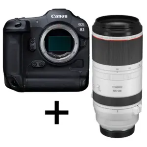 Canon Eos R3 + Canon RF 100-500mm f/4.5-7.1 L IS USM pas cher