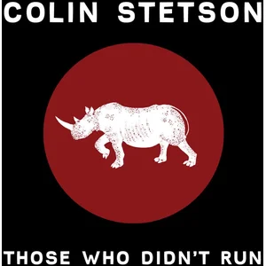 Comparateur de prix : CONSTELLATION Colin Stetson - Those Who Didn't Run (10" LP)
