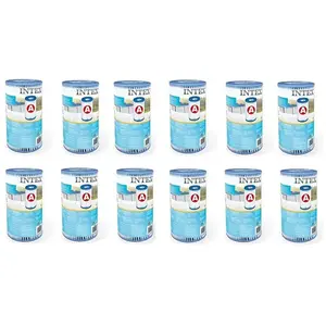 Intex 29000 Filter Cartridge Type A 12 Stuks voor Zwembad 244/305/366 ...