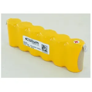 EXALIUM PREMIUM Batterie 7.2V 1.9Ah NiCd 719784 pour Pulverisateur TECNOMA PULSAR LIBERTIS pas cher