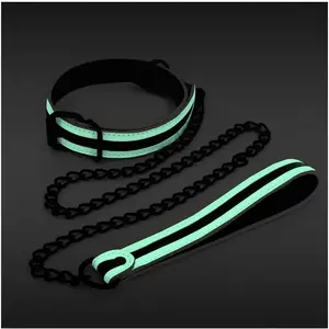 Collier-Laisse fluorescente Glo 75cm pas cher