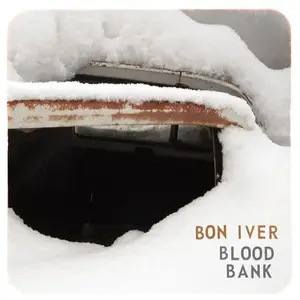 JAGJAGUWAR Bon Iver - Blood Bank [Vinyl Lp] pas cher