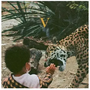 Jagjaguwar Unknown Mortal Orchestra - V [Vinyl Lp] pas cher