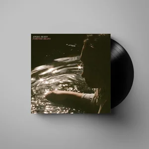 Jagjaguwar Forever Means - Vinyle Maxi 45 Tours pas cher
