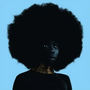 PIAS-STONES THROW Sudan Archives - Sink (12" Vinyl Single) pas cher