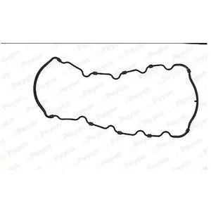 Pakking Carter JJ531 Payen pas cher