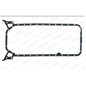 Payen Pakking Carter pas cher