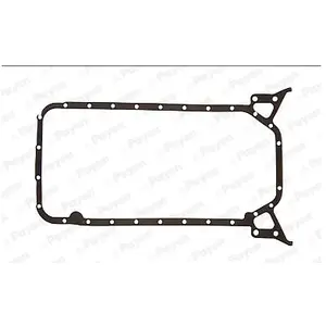 Pakking Carter JJ498 Payen pas cher