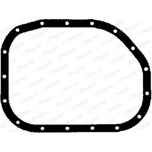 Pakking Carter JH683 Payen pas cher