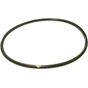 Joint torique de couvercle de chlorateur pour CL200/CL220 - HAYWARD - ...Vendu parcdiscount