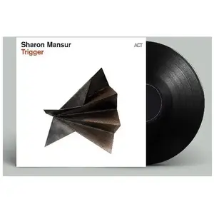 Disques vinyles populaires : Trigger pas cher