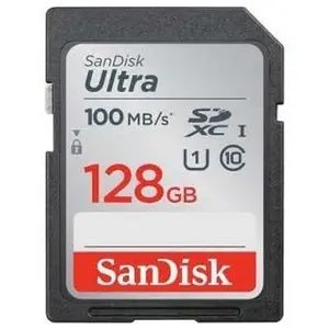Carte mémoire flash - SANDISK -  - 128GB -  -  (SDSDUNR-128G-GN3IN) pas cher