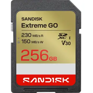 Sandisk Extreme Go (256 Go, SDXC, U3, UHS-I), Carte mémoire, Rouge, Or pas cher