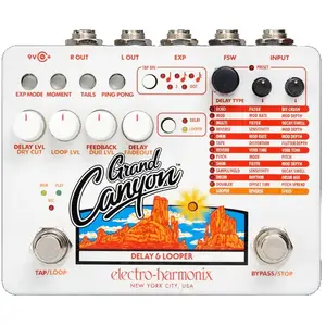 Electro-Harmonix Electro Harmonix Grand Canyon - Effect-unit voor gitaren pas cher