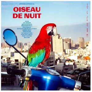 Modulor Cnt Oiseau De Nuit pas cher