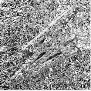 Karma Chief Records Silver pas cher