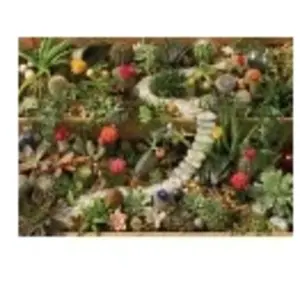 Cobble Hill Succulent Garden Hill-40087 pas cher