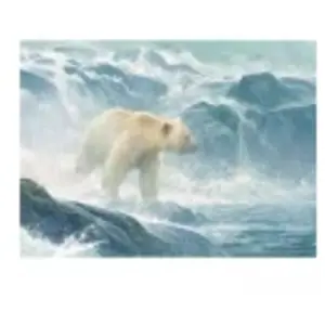 Cobble Hill Pièces XXL - Salmon Watch - Spirit Bear Hill-45026 pas cher