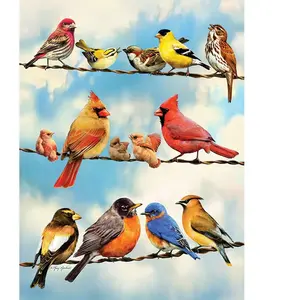Cobble Hill puzzle 500 pieces - Birds on a wire