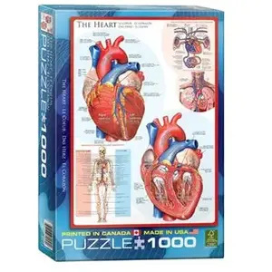 EurographicsPuzzles Science - The Heart - puzzle - 1000 pièces