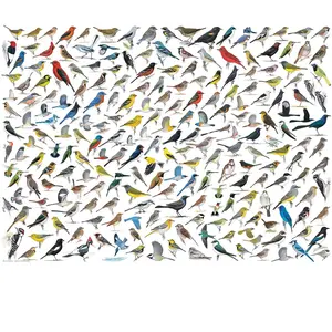 EuroGraphics The World of Birds by David Sibley