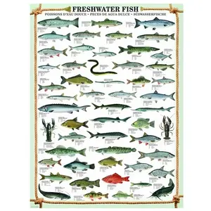EuroGraphics Freshwater Fish pas cher