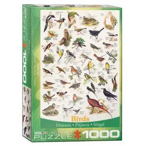 Puzzle Eurographics - Oiseaux, 1000 pièces pas cher