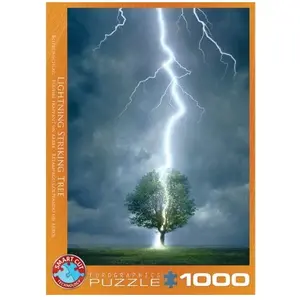 EurographicsPuzzles - Lightning Striking Tree I - puzzle - 1000 pièces pas cher