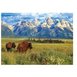 EuroGraphics Puzzle 1000 pièces : Parc National de Grand Teton pas cher