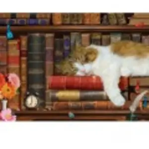 Puzzle Eurographics - La sieste du chat, 500 pièces XXL pas cher