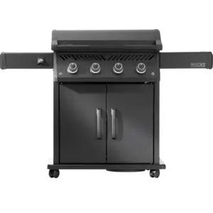 Napoleon Phantom Rogue PRO 30