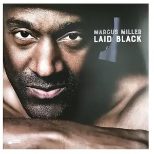 Import03 Laid back pas cher