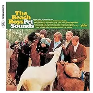 Comparateur de prix : Import Pet Sounds Edition 50ème anniversaire