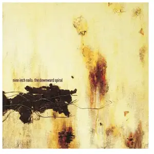Comparateur de prix : Polydor The Downward Spiral