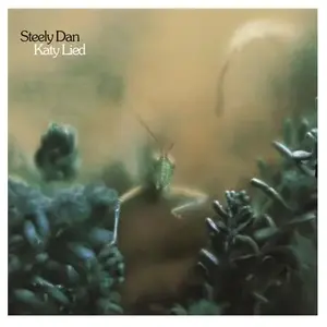 UNIVERSAL M CNT Katy Lied pas cher